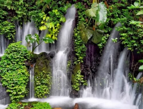 Coban Sumber Pitu Tumpang Malang: Air Terjun Tujuh Aliran yang Megah