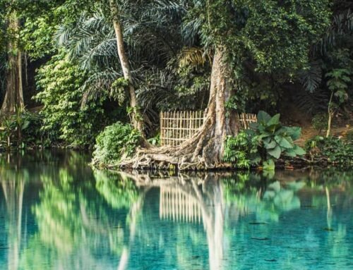 Sumber Sira Malang: Wisata Mata Air Jernih dengan Pemandangan Bawah Air