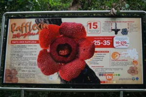 Papan informasi di kawasan taman nasional