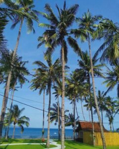 Suasana pagi hari Pantai Solong
