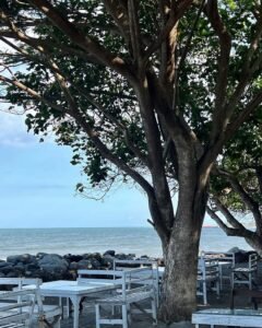 Tempat duduk untuk menikmati keindahan pantai Tempat duduk untuk menikmati keindahan pantai