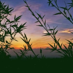 Keindahan saat sore hari