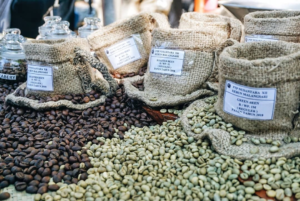 Beberapa jenis kopi hasil panen Beberapa jenis kopi hasil panen