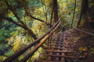 Jalan menuju air terjun Jalan menuju air terjun