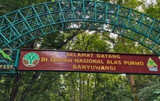 Taman Nasional Alas Purwo