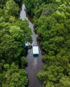 Kawasan huta mangrove dilihat dari atas