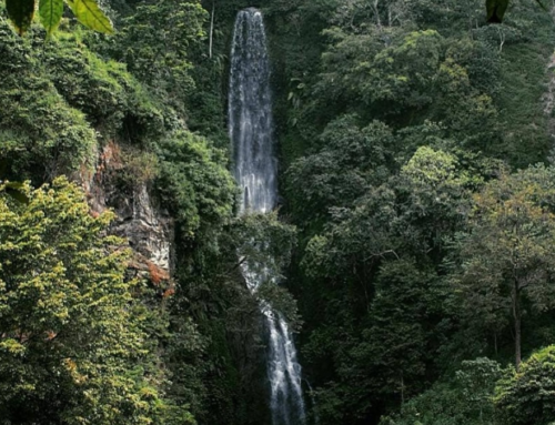 Menilik Air Terjun Parang Tejo Malang 2026: Update Fasilitas, Review Jujur, dan Keindahan Air Terjun di Lereng Arjuno