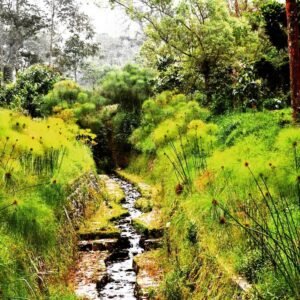 Aliran mata air Sungai Brantas yang jernih dikelilingi bebatuan