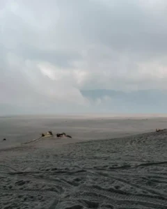 Hamparan pasir Hamparan pasir