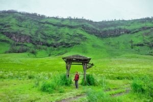 Spot foto di area padang savana Spot foto di area padang savana