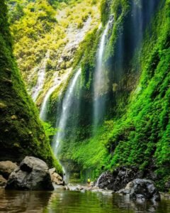 Suasana yang sejuk Suasana yang sejuk