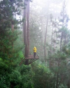 Spot untuk melihat pemandangan Spot untuk melihat pemandangan