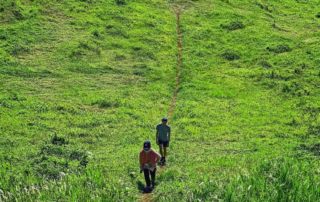 Perkebunan Kalibendo Banyuwangi