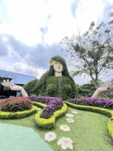 Berbagai tanaman di area Batu Love Garden