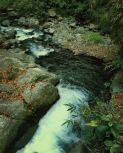 Aliran air terjun yang jernih dan segar Aliran air terjun yang jernih dan segar