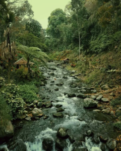 Aliran sungai Aliran sungai