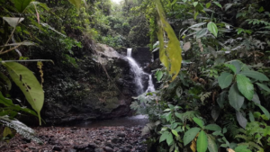 Air Terjun Kalibendo