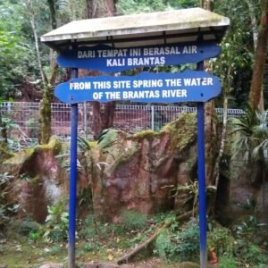 Kawasan Arboretum Sumber Brantas