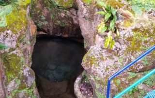 Arboretum Sumber Brantas