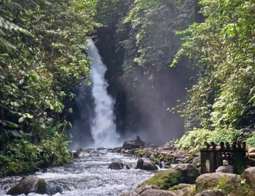 Air Terjun Telunjuk Raung: Pesona Alam Tersembunyi di Kaki Gunung Raung