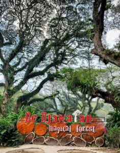 De Djawatan Magical Forest