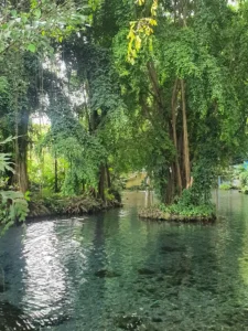 Suasana tenang dan asri Suasana tenang dan asri