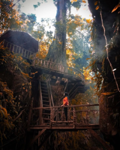 Rumah pohon yang menjadi salah satu spot foto menarik Rumah pohon yang menjadi salah satu spot foto menarik