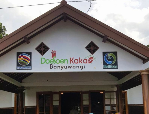 Dusun Kakao Banyuwangi: Wisata Edukasi Cokelat yang Menakjubkan di Jawa Timur