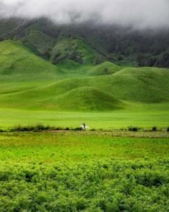 Keindahan Savana Bromo Keindahan Savana Bromo