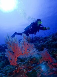 Aktivitas snorkeling di Bangsring Underwater