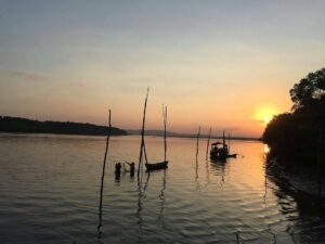 Suasana hutan mangrove saat matahari terbenam
