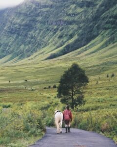 Suasana padang savana Suasana padang savana