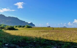 Taman Nasional Meru Betiri