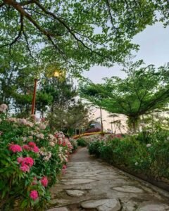 Suasana Taman Langit yang tenang Suasana Taman Langit yang tenang