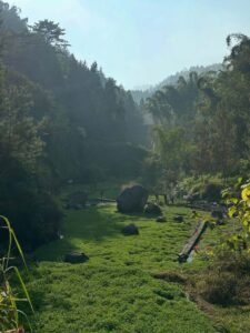 Suasana Ledok Ombo yang hijau dan asri Suasana Ledok Ombo yang hijau dan asri