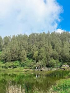 Panorama Danau Ranu Regulo