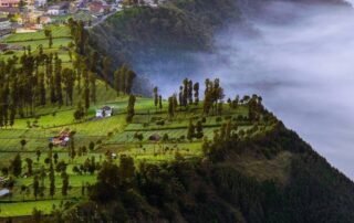 Cemoro Lawang Bromo