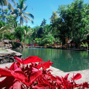 Tepi kolam utama dengan latar pepophonan hijau