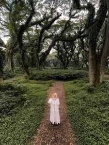 Foto dengan latar belakang pepohonan yang magis