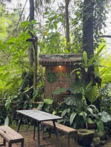 Pinus Cafe Ledok Ombo Pinus Cafe Ledok Ombo