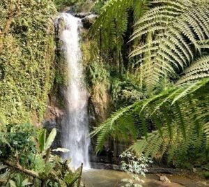 Aliran air terjun yang deras