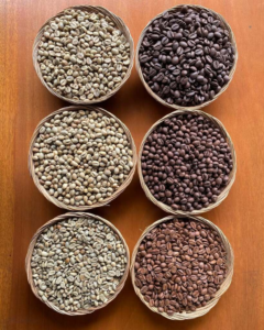 Beberapa jenis kopi Beberapa jenis kopi