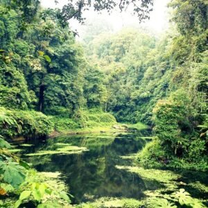 Suasana saat pagi hari Suasana saat pagi hari