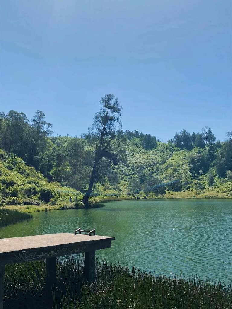 Panduan Camping Ranu Regulo 2026: Catatan Perjalanan, Info Tiket, dan ...