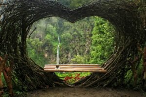 Spot foto akar pohon berbentuk hati Spot foto akar pohon berbentuk hati