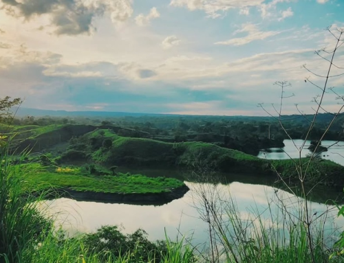 Bajulmati Banyuwangi: Pesona Waduk dan Desa di Ujung Timur Jawa