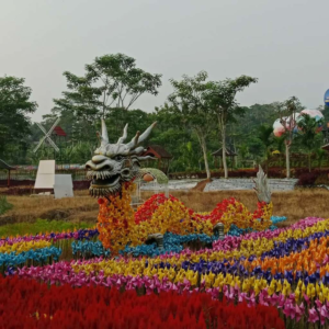 Area taman dengan bunga warna-warni Area taman dengan bunga warna-warni