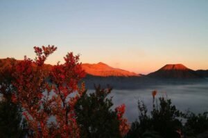 Keindahan dari Bukit Mentigen Keindahan dari Bukit Mentigen