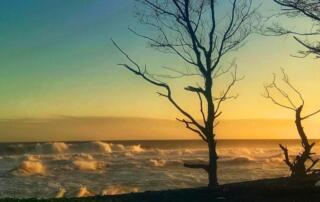 Pantai Goa Cemara Yogyakarta