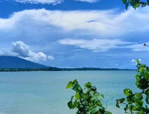 Pantai Baru Yogyakarta: Destinasi Wisata Pantai dengan Pesona Cemara Udang dan Kehidupan Nelayan Asli